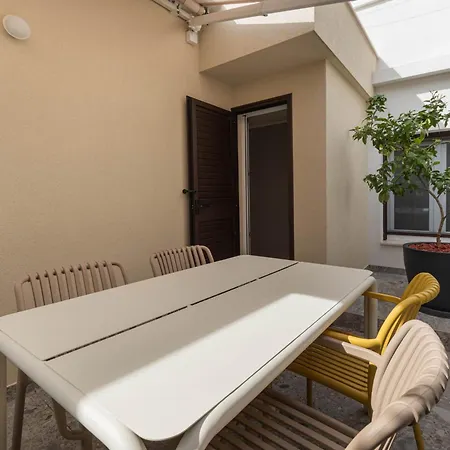 Lemon Tree * 트로기르